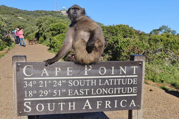 cape point tour